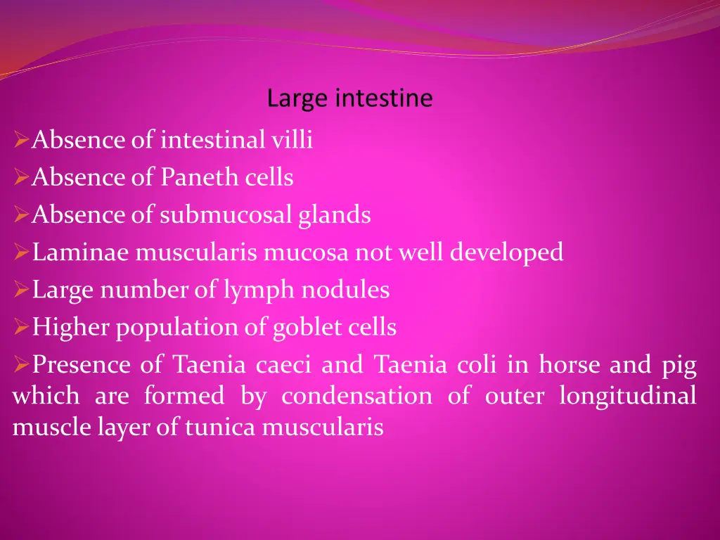 absenceof intestinal villi absenceof paneth cells