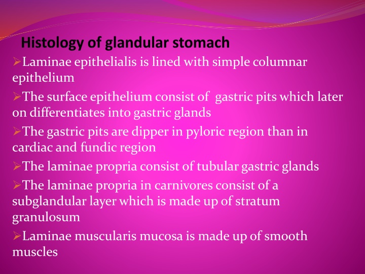 laminae epithelialis is lined with simple