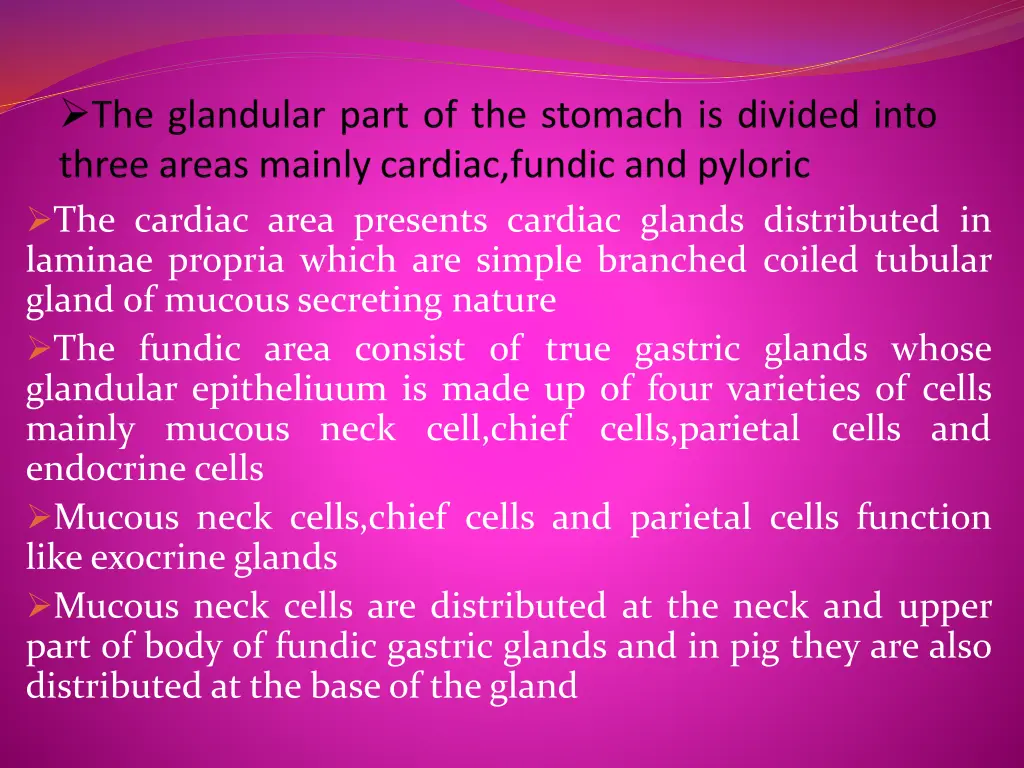 the cardiac area presents cardiac glands