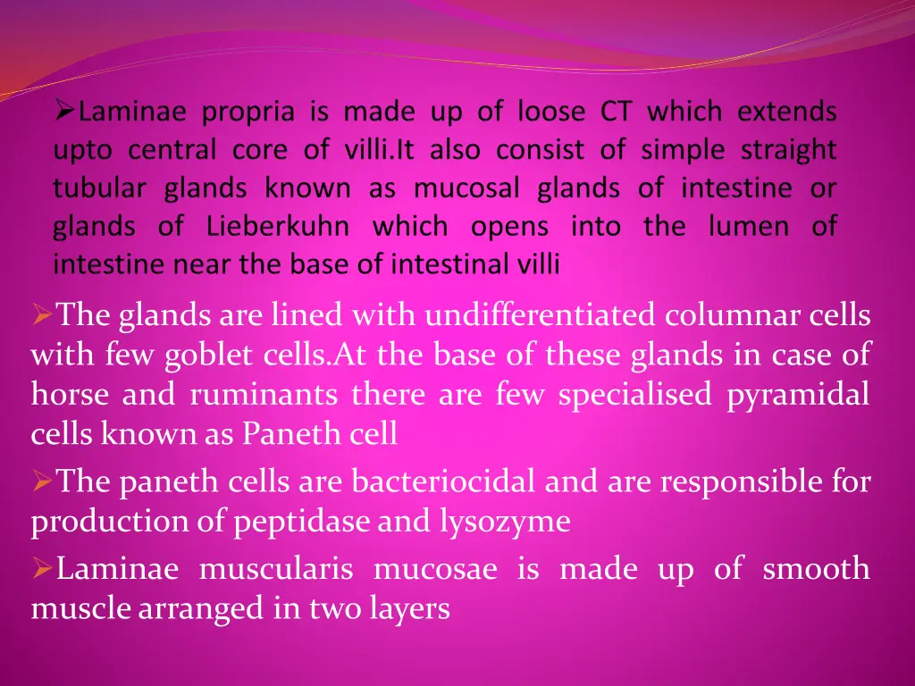 the glands are lined with undifferentiated