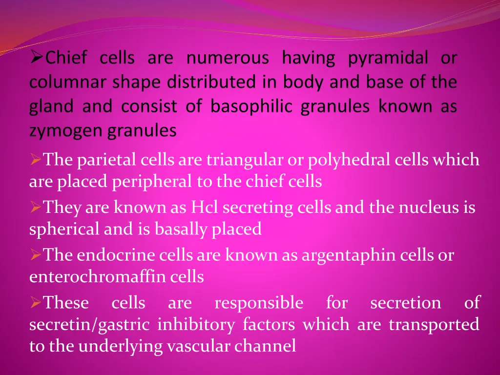 the parietal cells are triangular or polyhedral