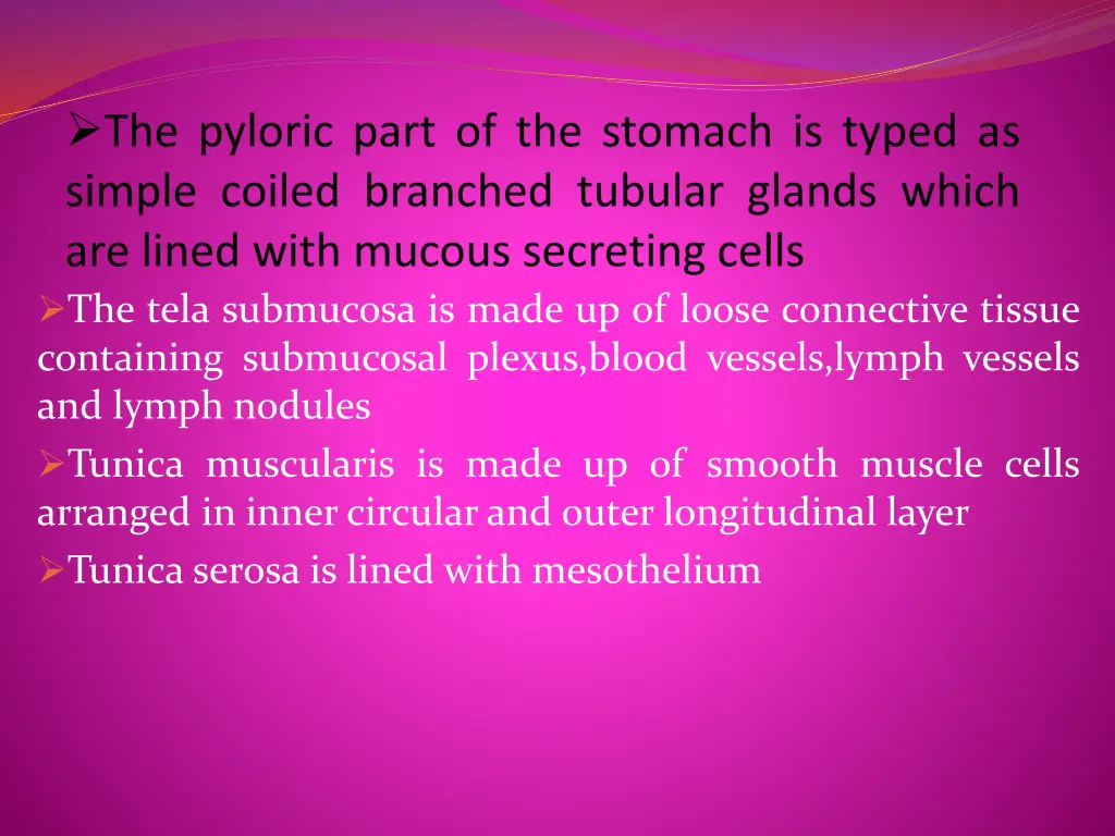 the tela submucosa is made up of loose connective