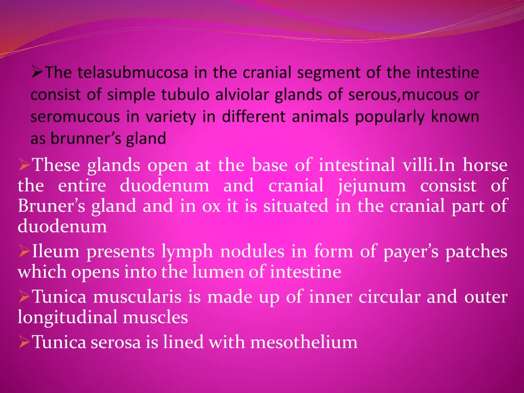 these glands open at the base of intestinal villi