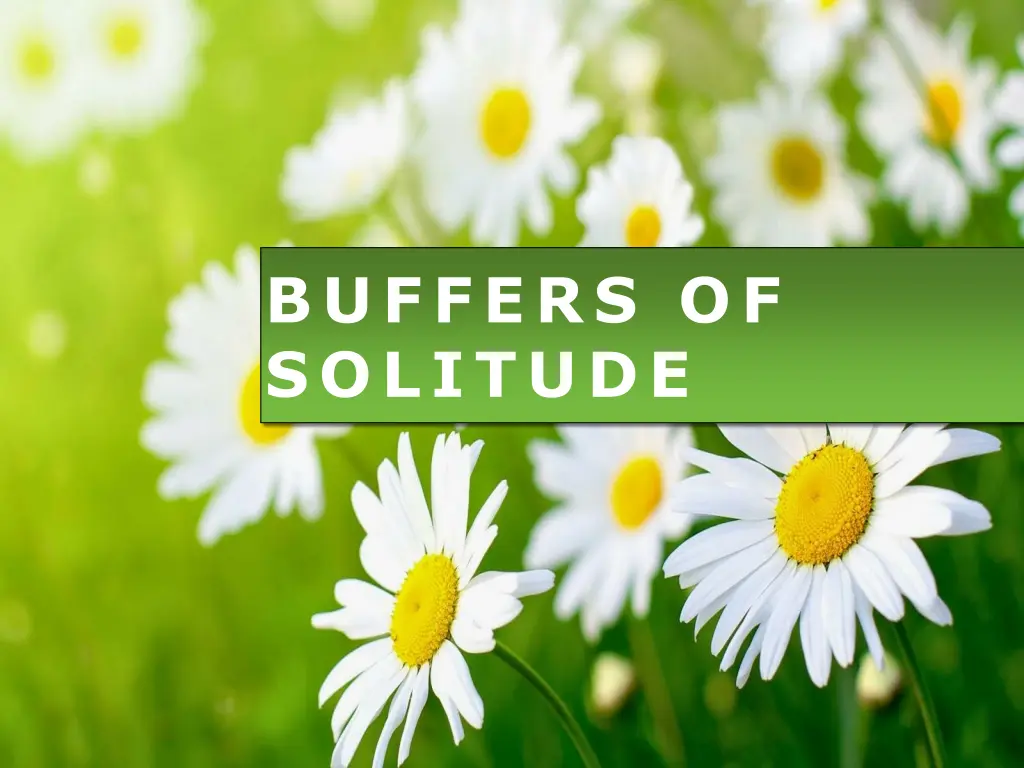 buffers of solitude