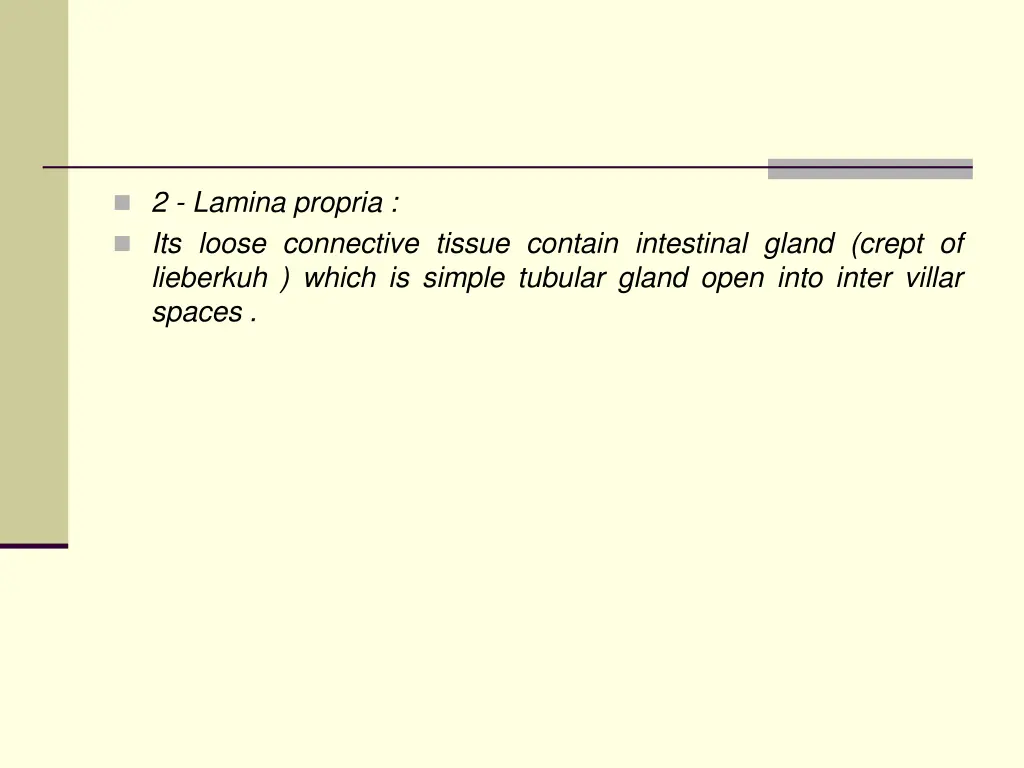 2 lamina propria its loose connective tissue