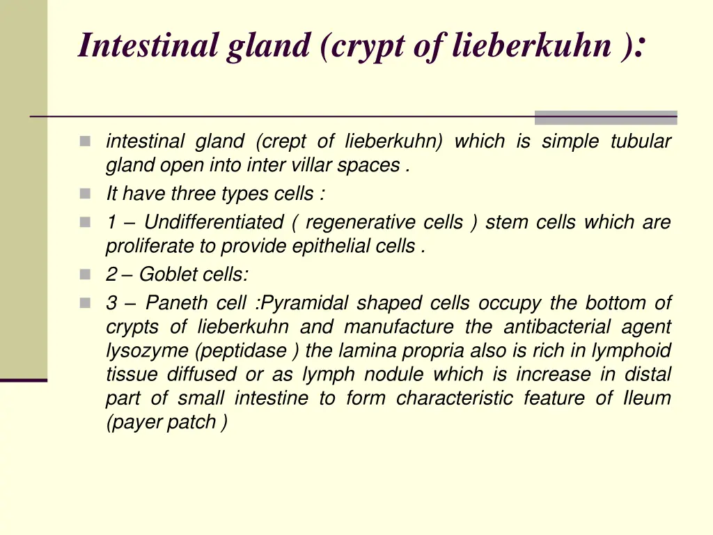 intestinal gland crypt of lieberkuhn