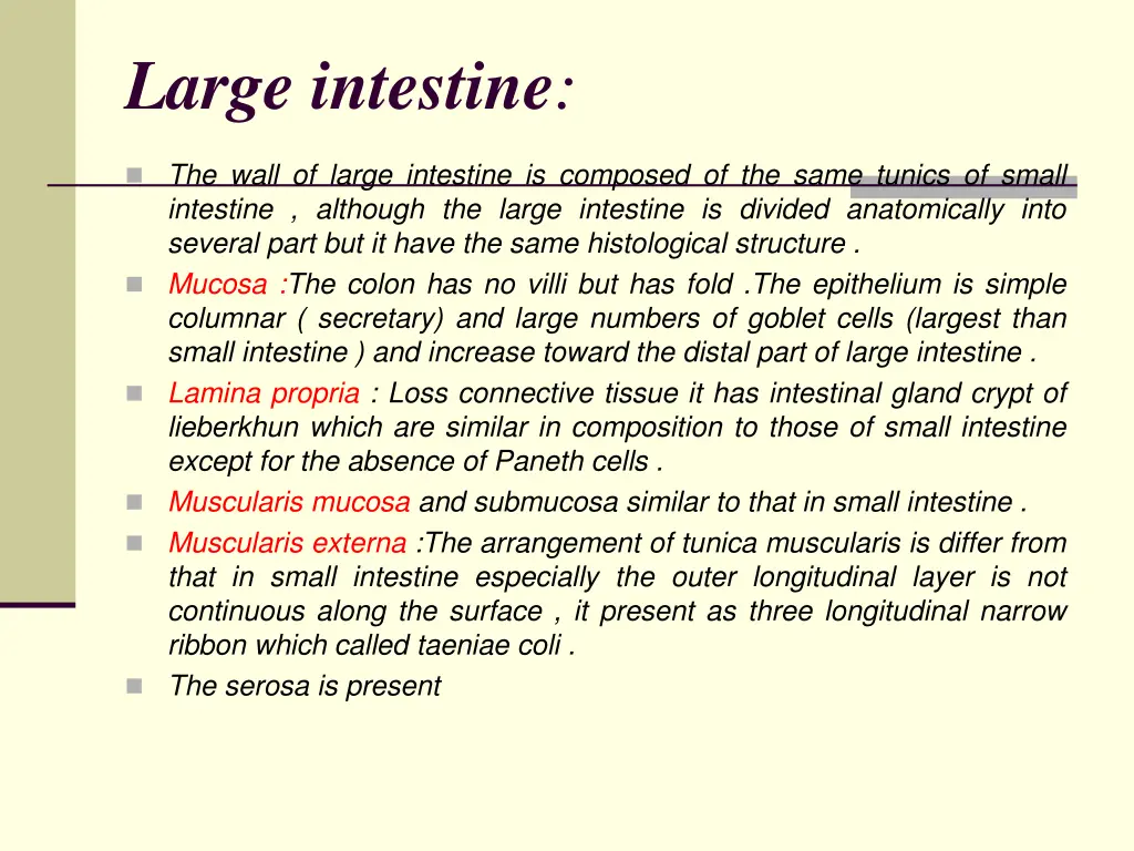 large intestine