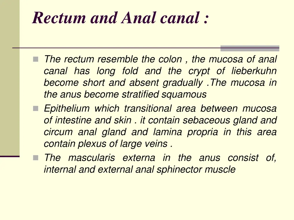 rectum and anal canal