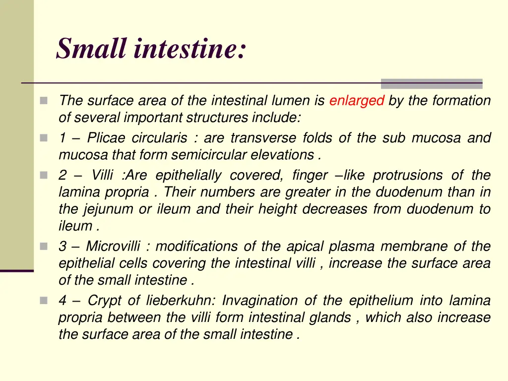 small intestine 2