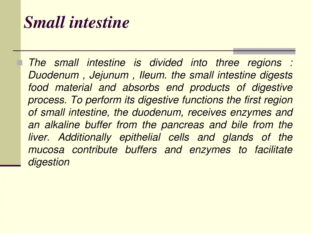 small intestine