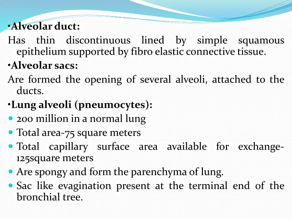 alveolar duct has thin discontinuous lined