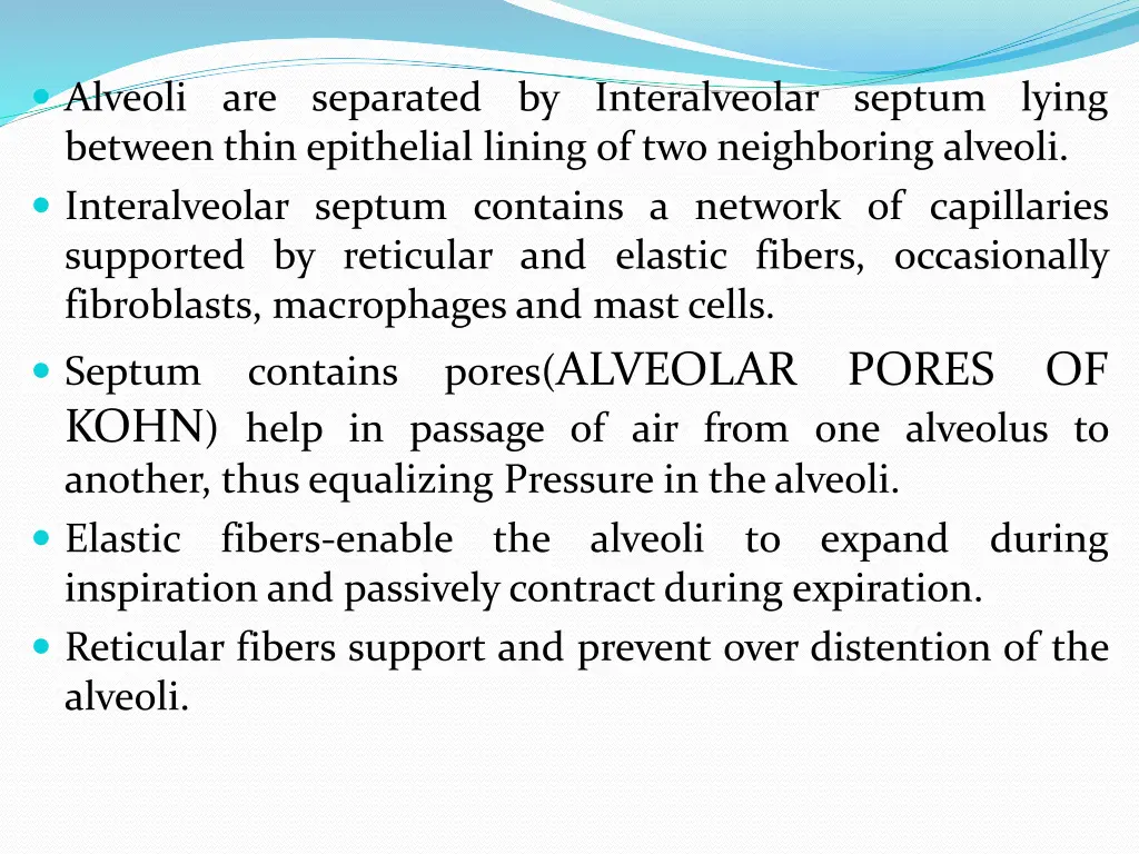 alveoli are separated by interalveolar septum