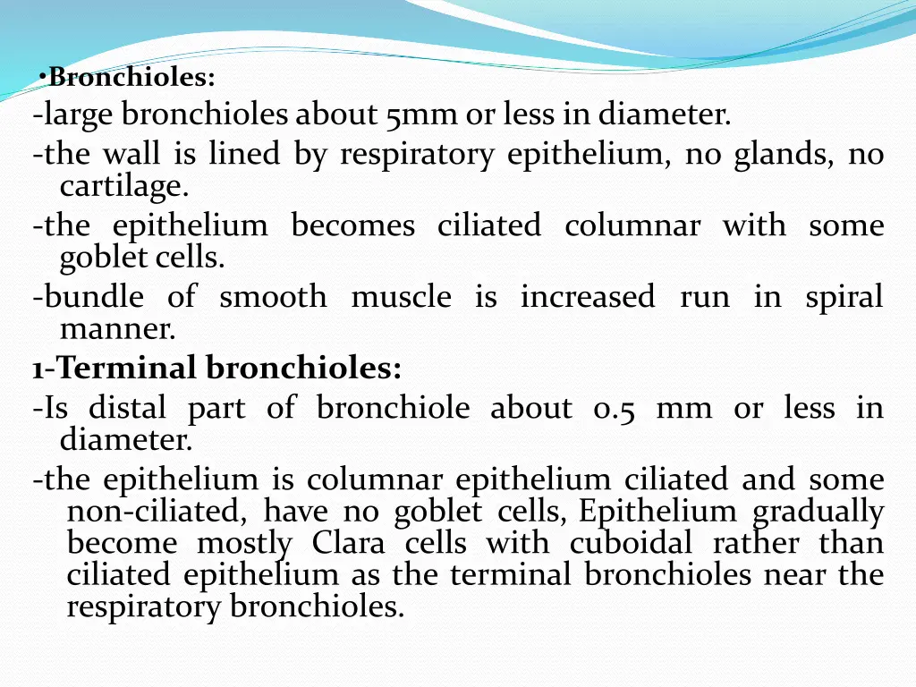 bronchioles large bronchioles about 5mm or less