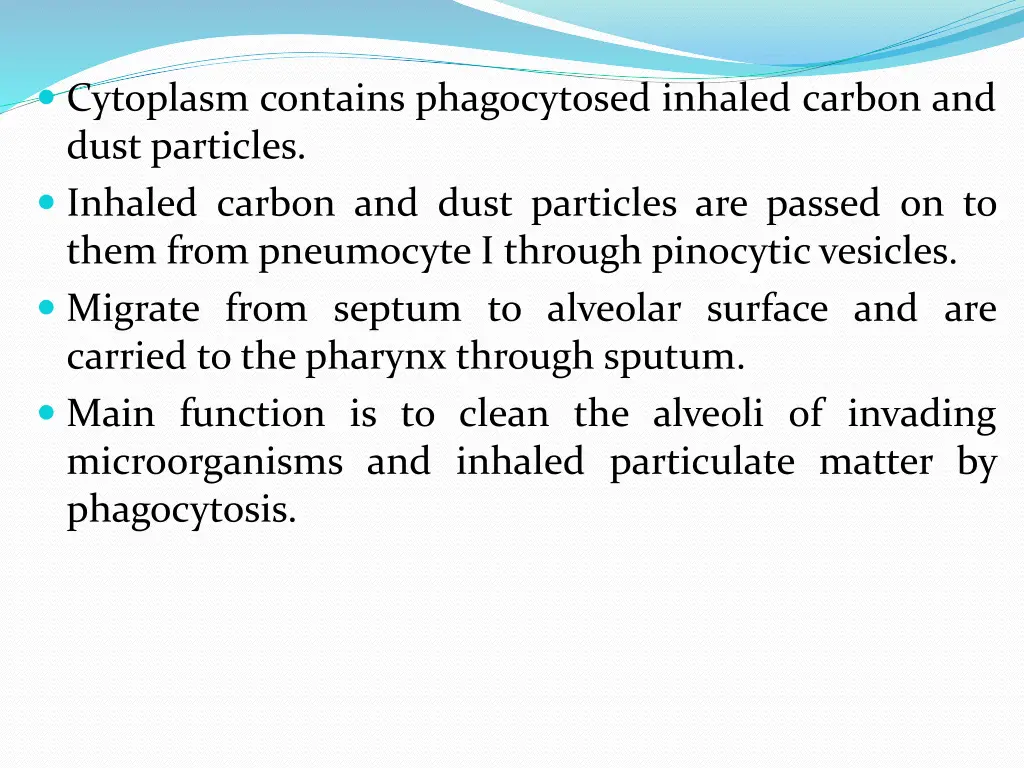 cytoplasm contains phagocytosed inhaled carbon