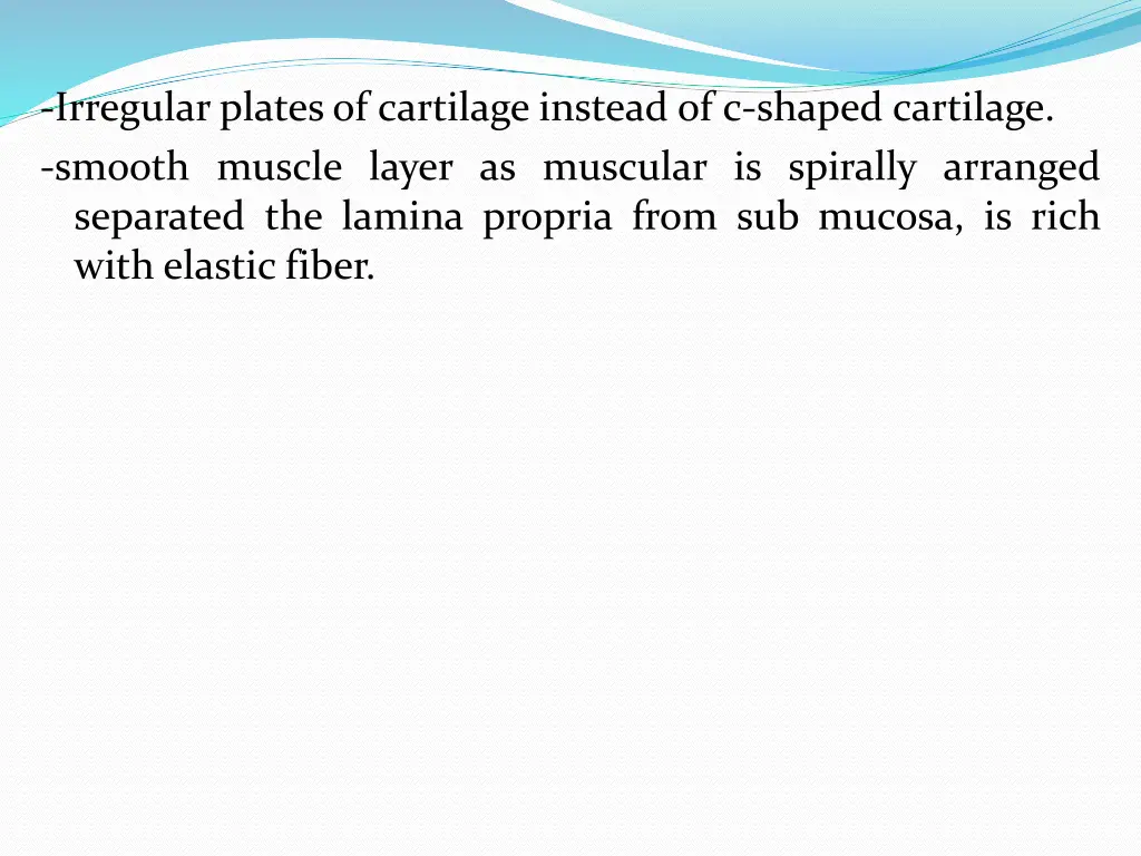 irregular platesof cartilage instead of c shaped