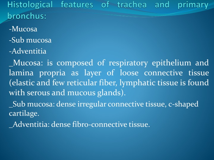 mucosa sub mucosa adventitia mucosa is composed