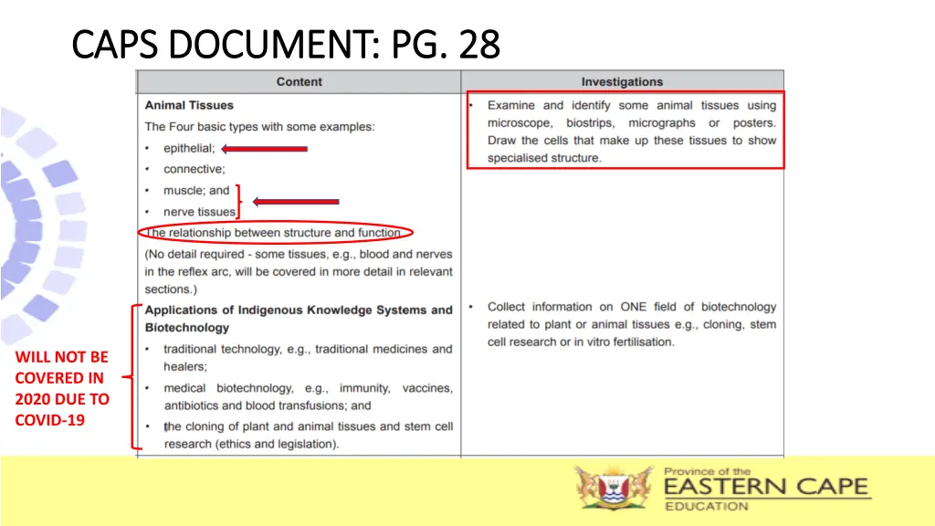 caps document pg 28 caps document pg 28