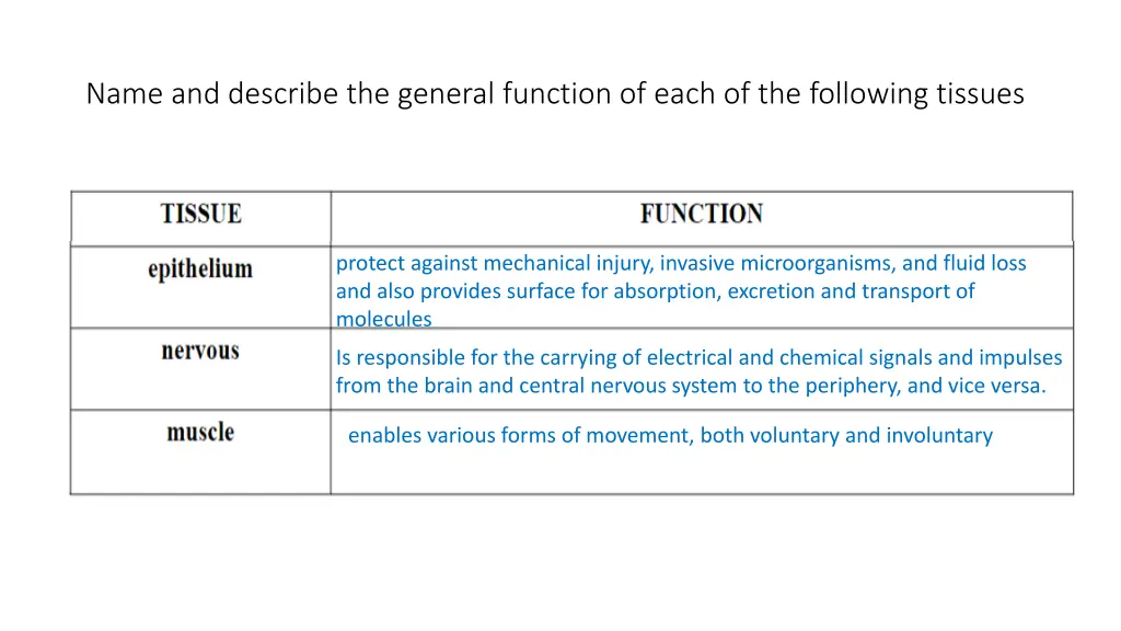 name and describe the general function of each