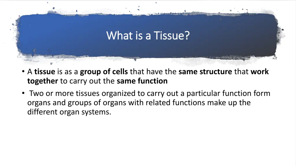 what is a tissue what is a tissue