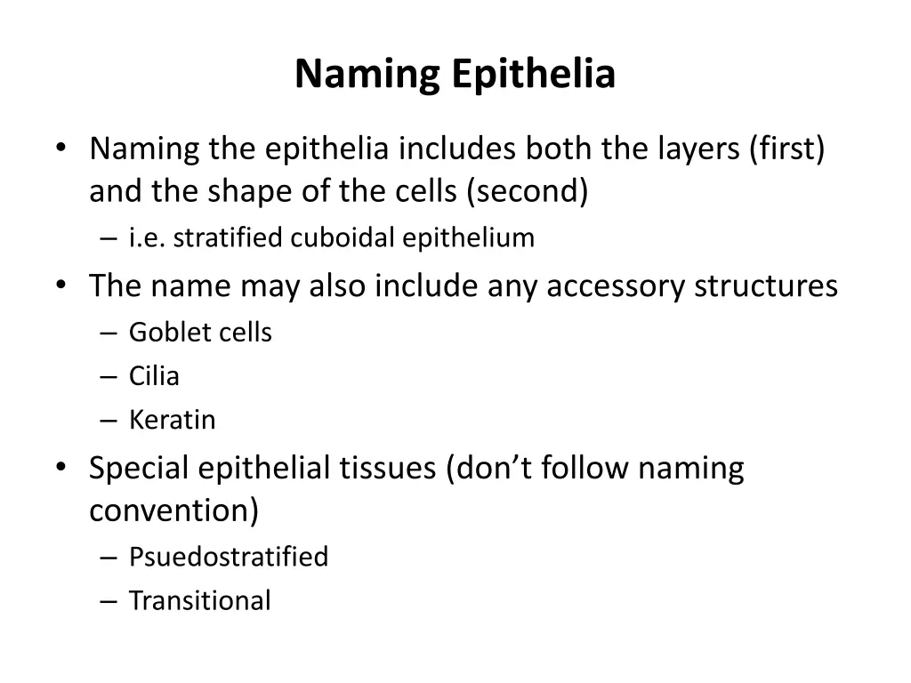 naming epithelia