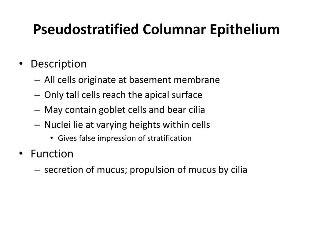 pseudostratified columnar epithelium