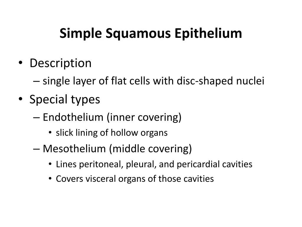 simple squamous epithelium