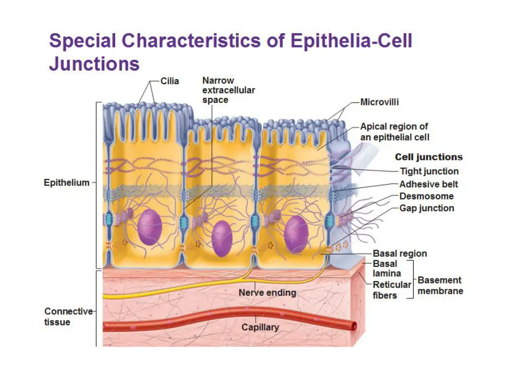 slide16