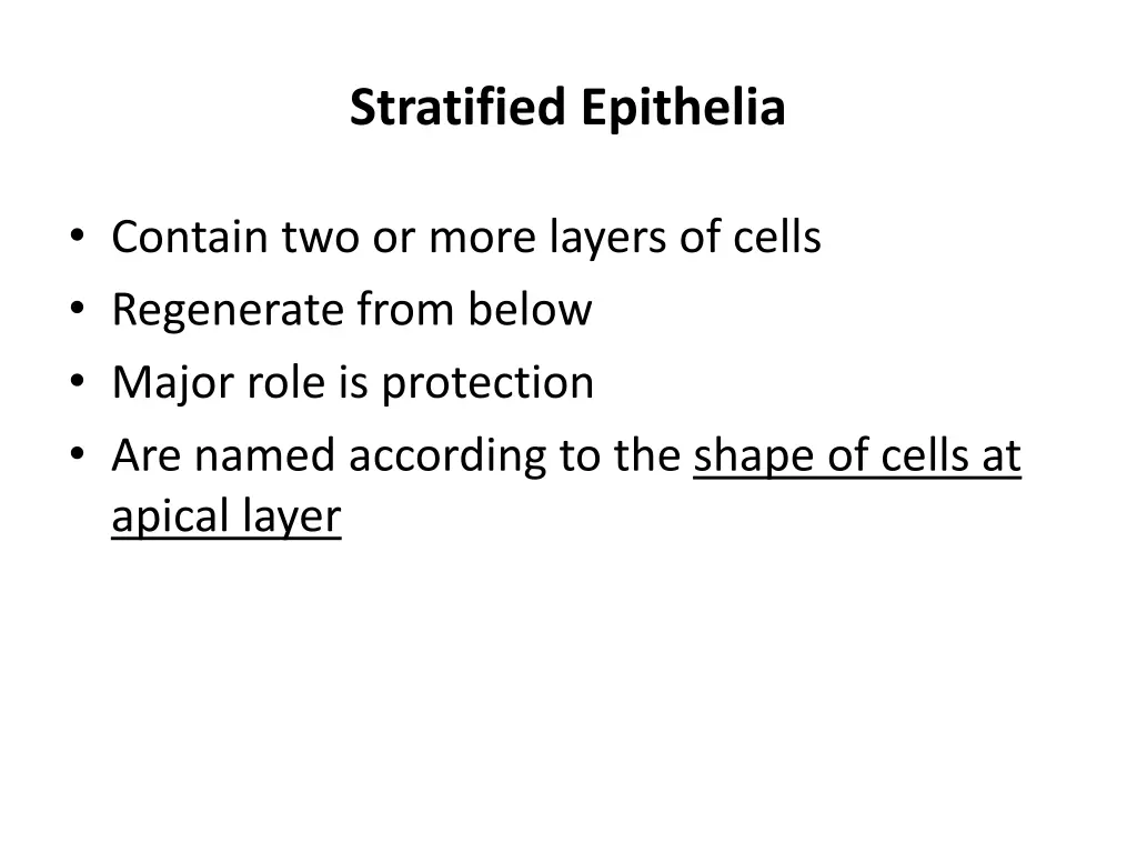 stratified epithelia