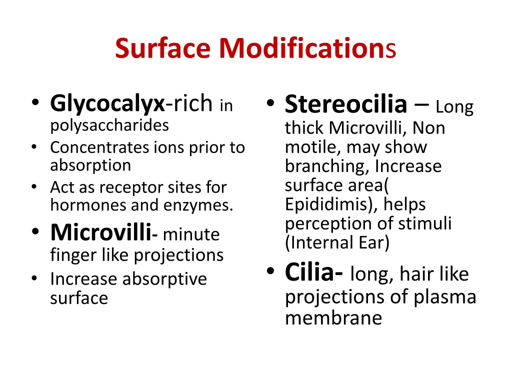 surface modification s