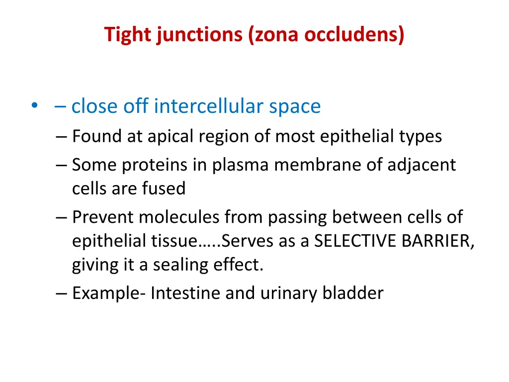 tight junctions zona occludens