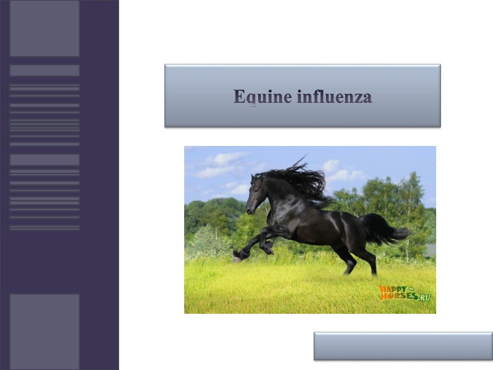 equine influenza