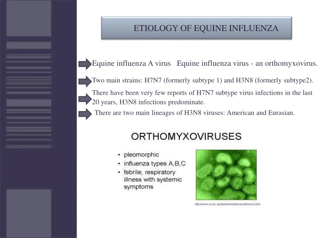 etiology of equine influenza