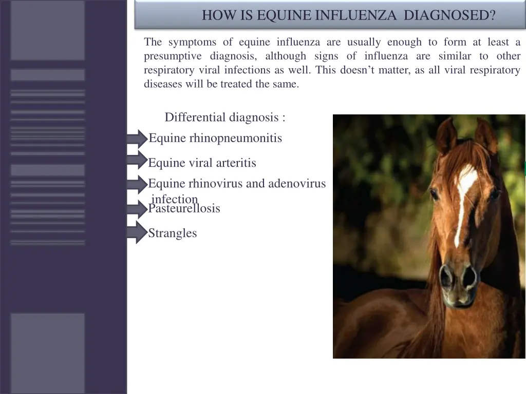 how is equine influenza diagnosed