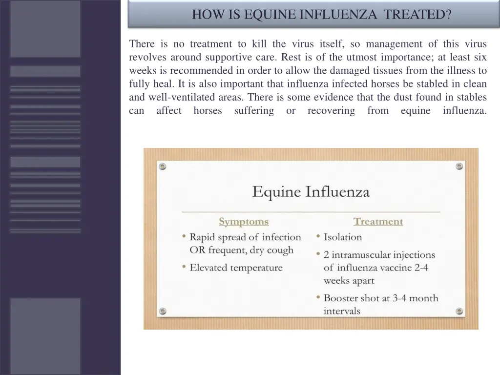 how is equine influenza treated