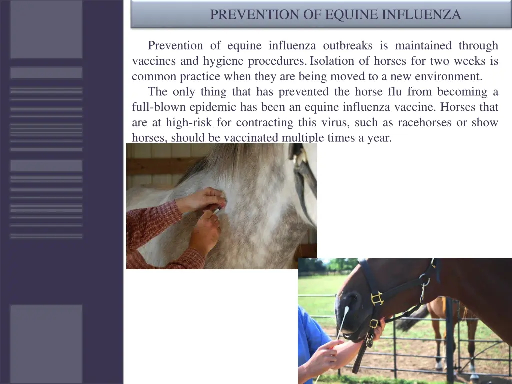 prevention of equine influenza