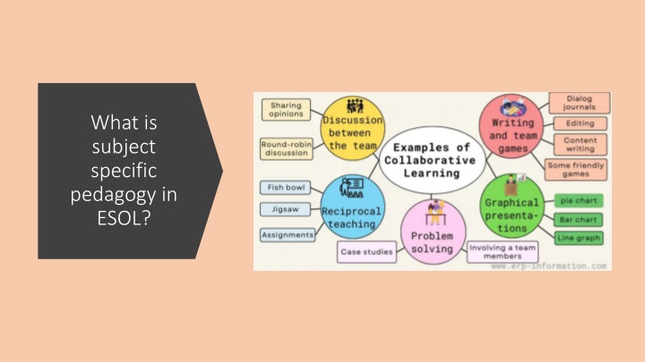 what is subject specific pedagogy in esol