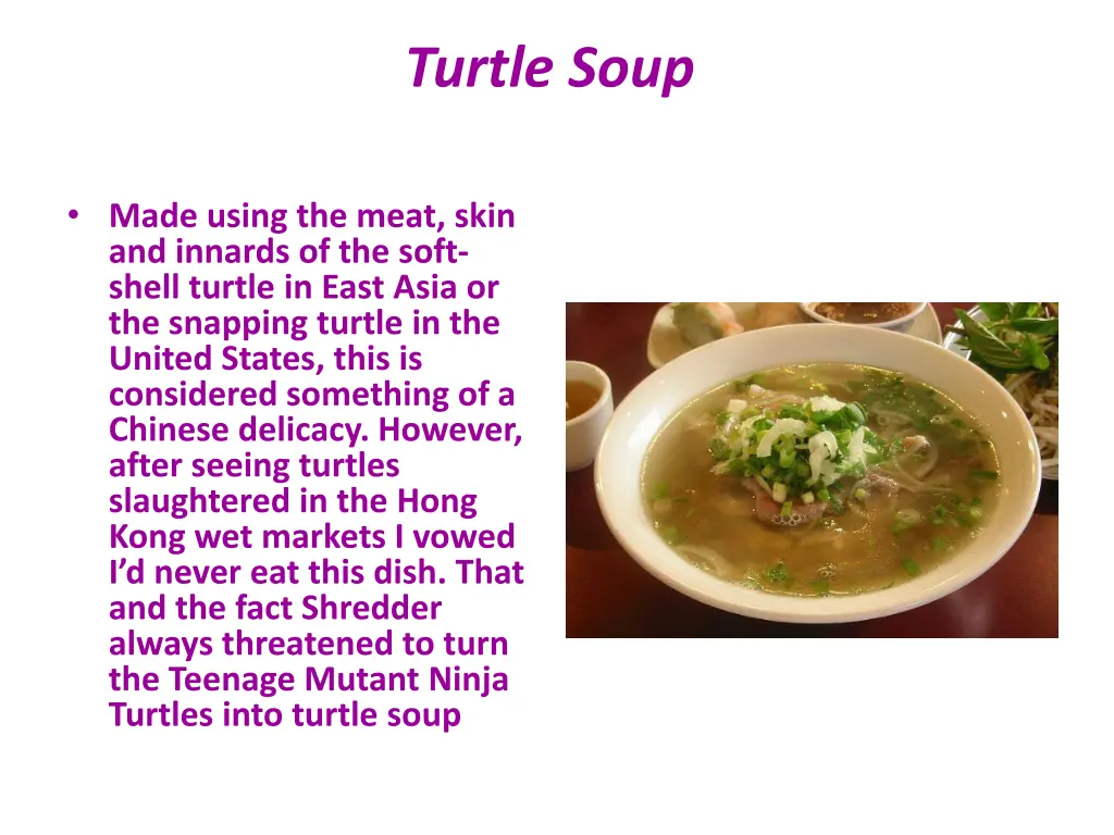 turtle soup