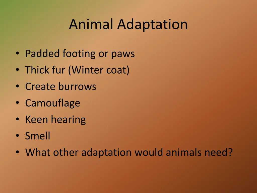 animal adaptation