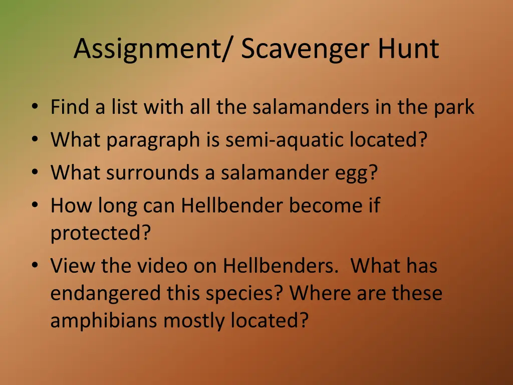 assignment scavenger hunt