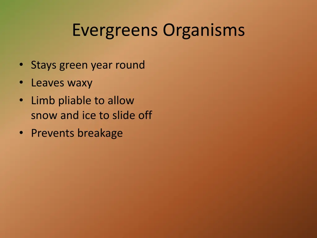 evergreens organisms