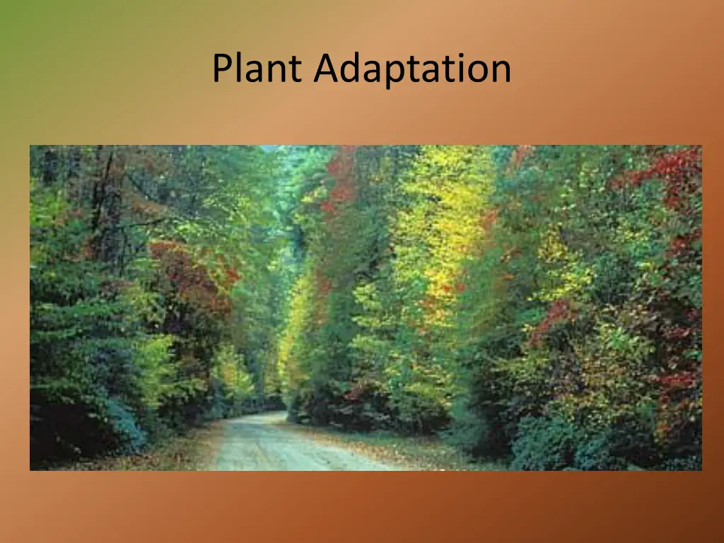 plant adaptation