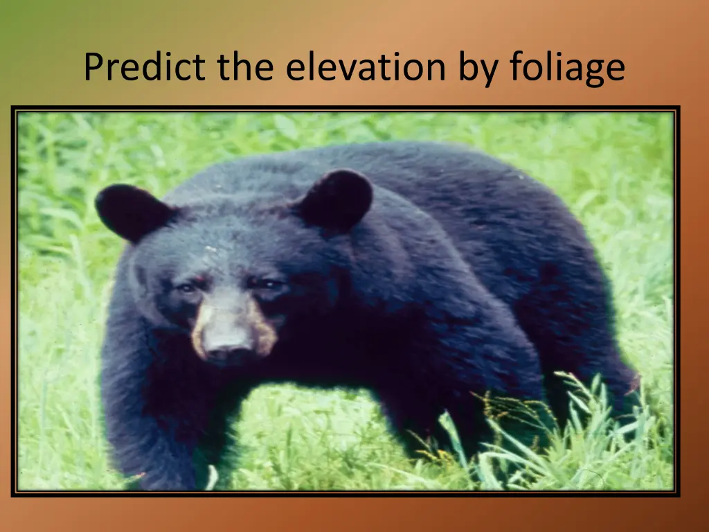 predict the elevation by foliage