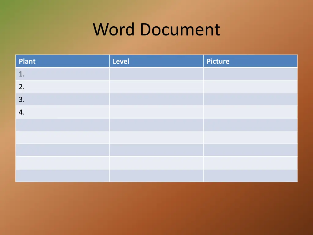 word document