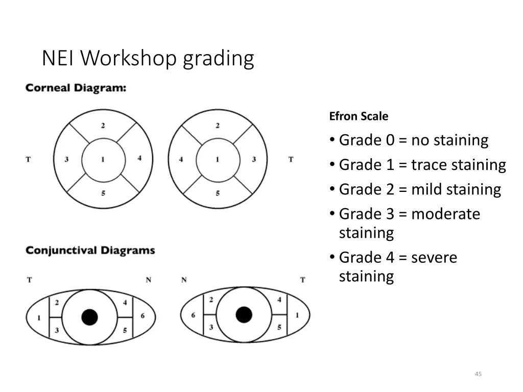 nei workshop grading