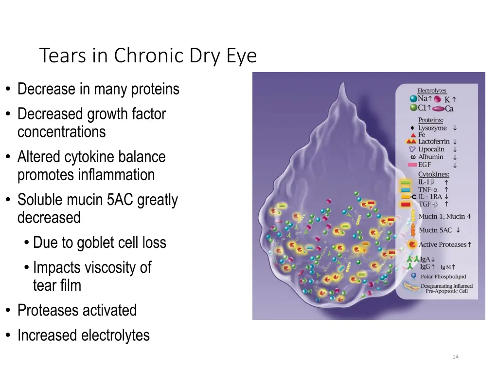 tears in chronic dry eye