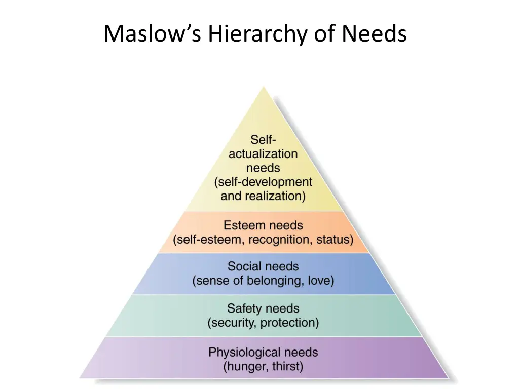 maslow s hierarchy of needs