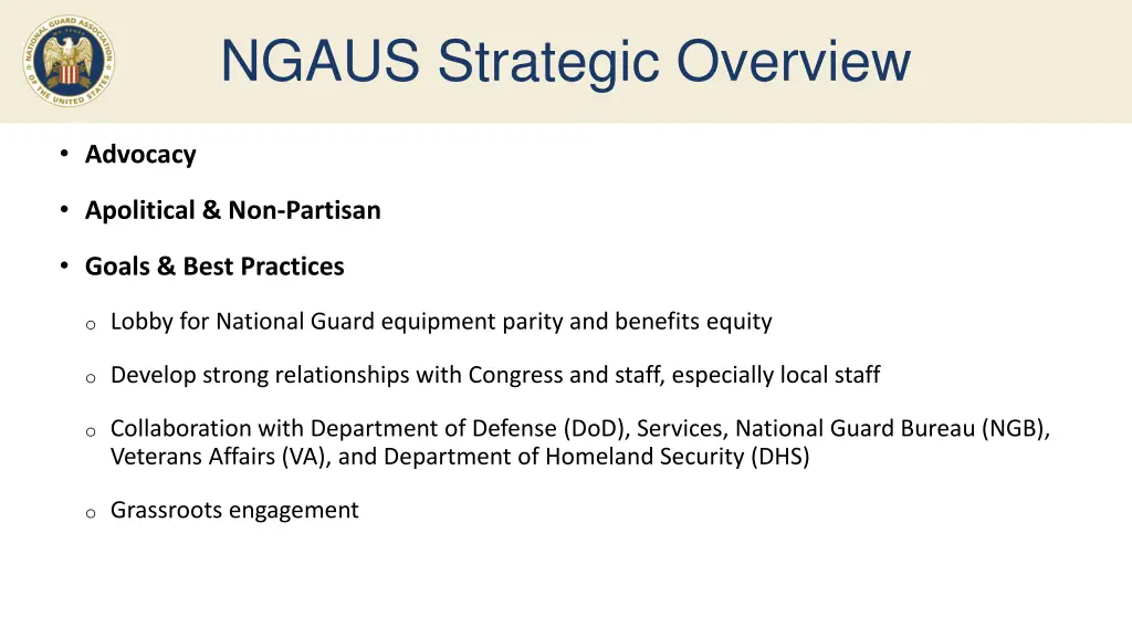 ngaus strategic overview