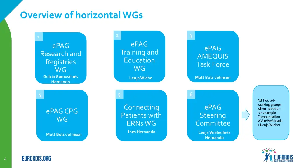 overview of horizontal wgs