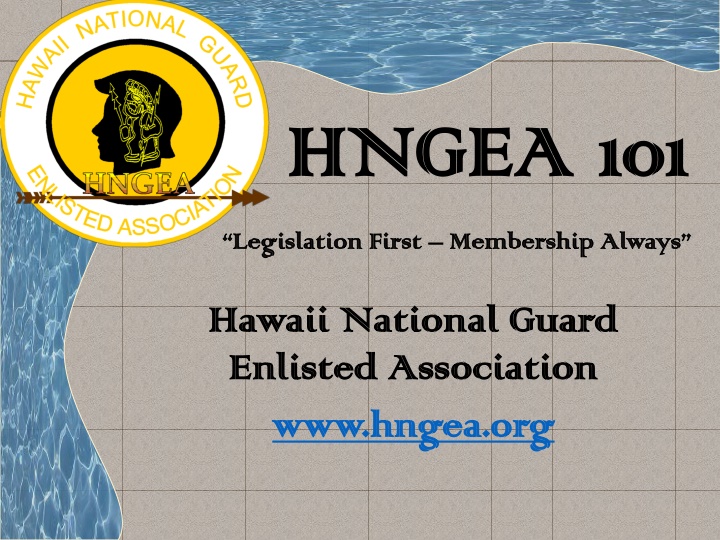 hngea hngea 101