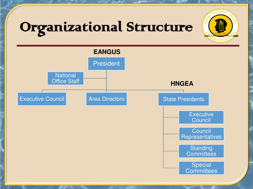 organizational structure organizational structure